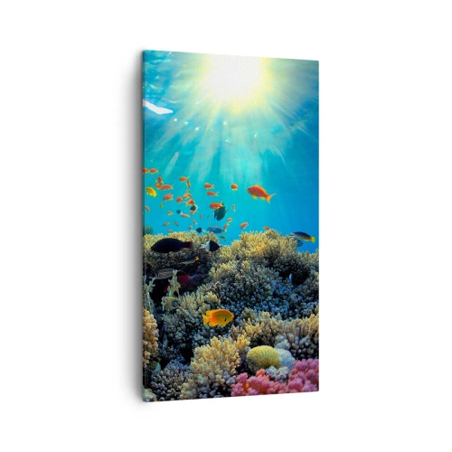 Lærredstryk - Billede på lærred - Undervandsskatte - 45x80 cm