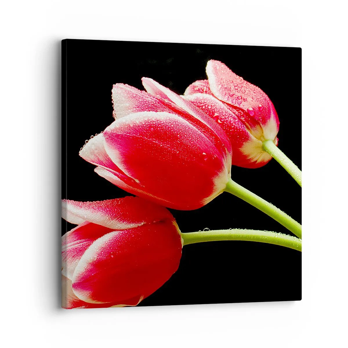 Lærredstryk - Billede på lærred - Løftet om ren kærlighed - 30x30 cm