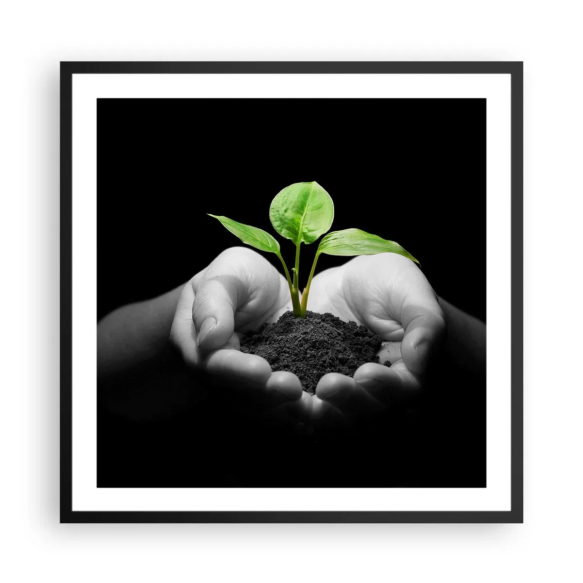 Plakat i sort ramme - Jeg elsker naturen, jeg beskytter den - 60x60 cm