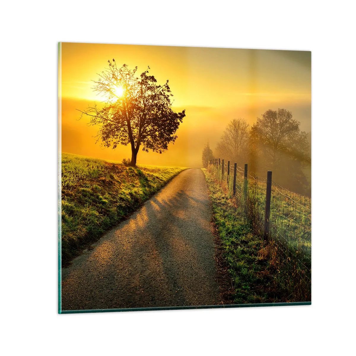 Billede på glas - Kære eftermiddag - 50x50 cm