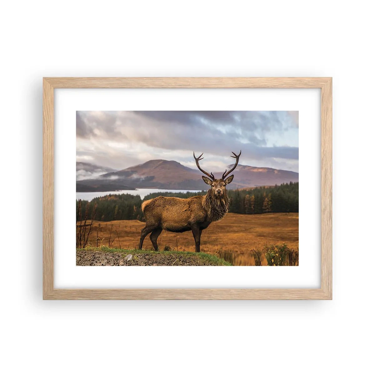 Plakat i ramme af lyst egetræ - Naturens majestæt - 40x30 cm
