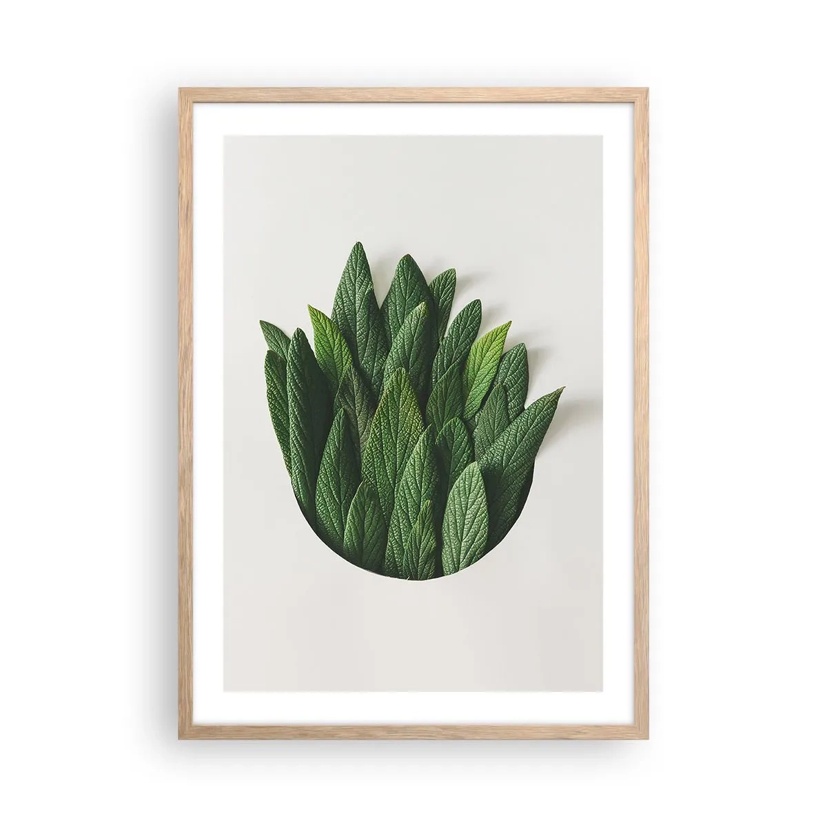 Plakat i ramme af lyst egetræ - Uhæmmet nysgerrighed - 50x70 cm