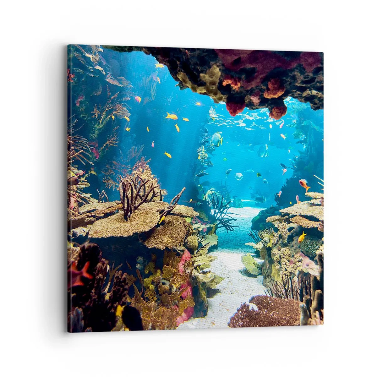 Lærredstryk - Billede på lærred - Du har ikke engang drømt - 70x70 cm