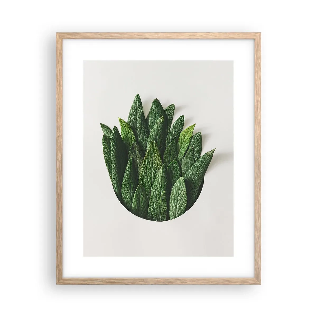 Plakat i ramme af lyst egetræ - Uhæmmet nysgerrighed - 40x50 cm