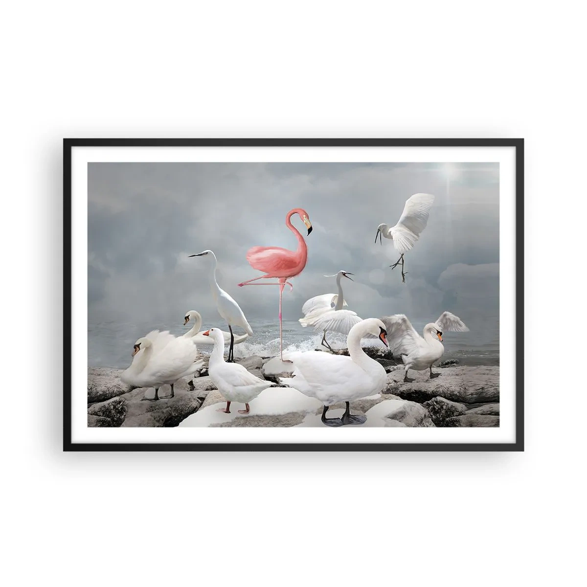 Plakat i sort ramme - Hvor kommer jeg fra? - 91x61 cm