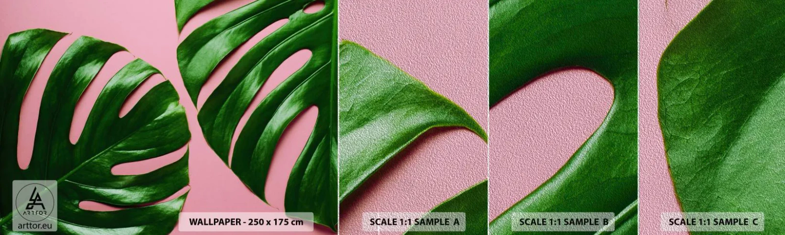 Prøve Fototapet Premium Sand - Grønt rendez-vous - Monstera, Grønt blad, Eksotisk plante - 100x30 cm