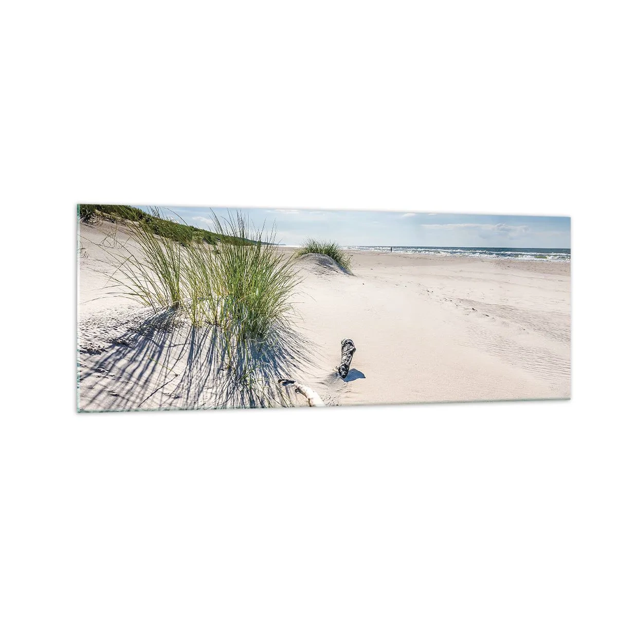 Billede på glas - Den smukkeste? Baltisk - 140x50 cm