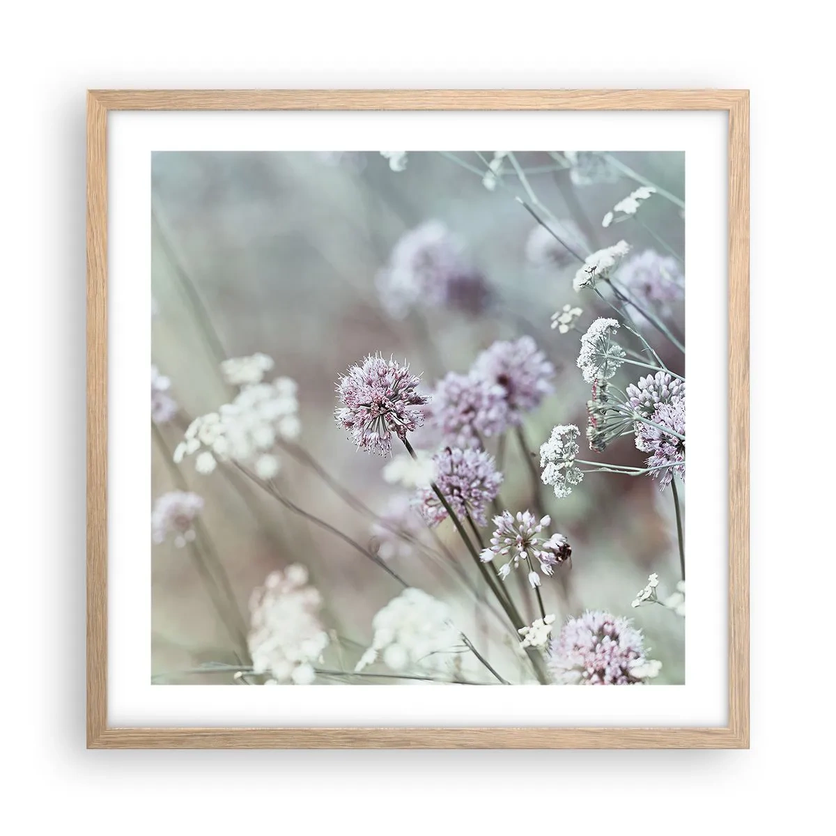 Plakat i ramme af lyst egetræ - Søde filigranurter - 50x50 cm
