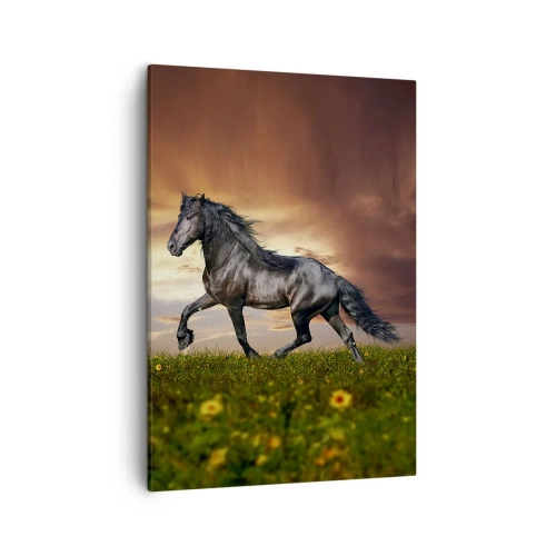 Lærredstryk - Billede på lærred - Sort prins - 50x70 cm