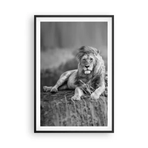 Plakat i sort ramme - Kongelig siesta - 61x91 cm