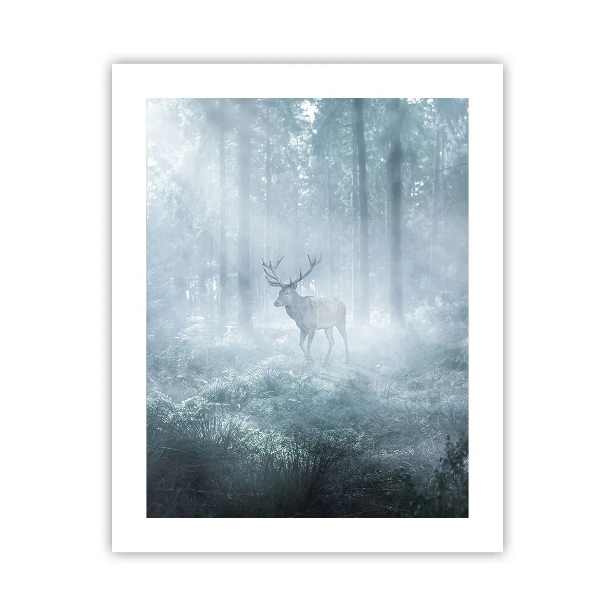 Plakat - Morgenvandring rundt på godset - 40x50 cm