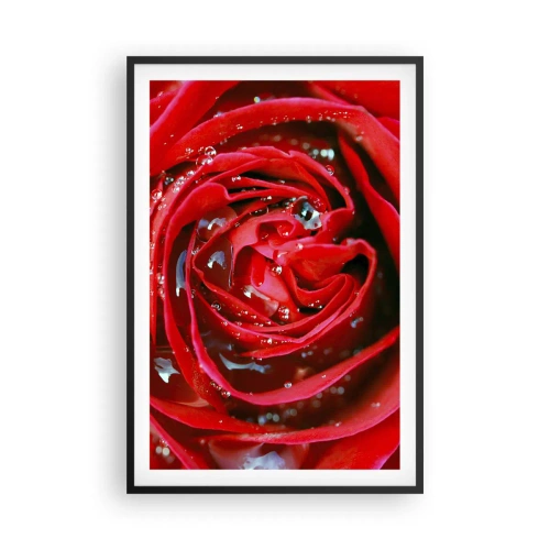 Plakat i sort ramme - I dråber af dug - 61x91 cm