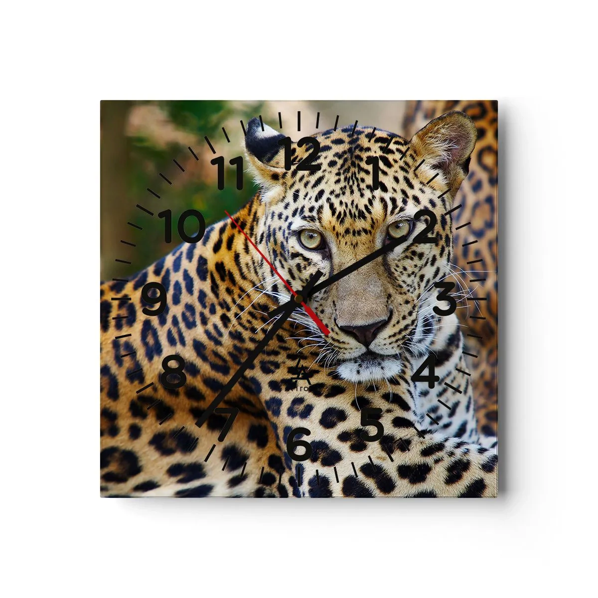 Vægur, Uret - Vild og rolig - 40x40 cm