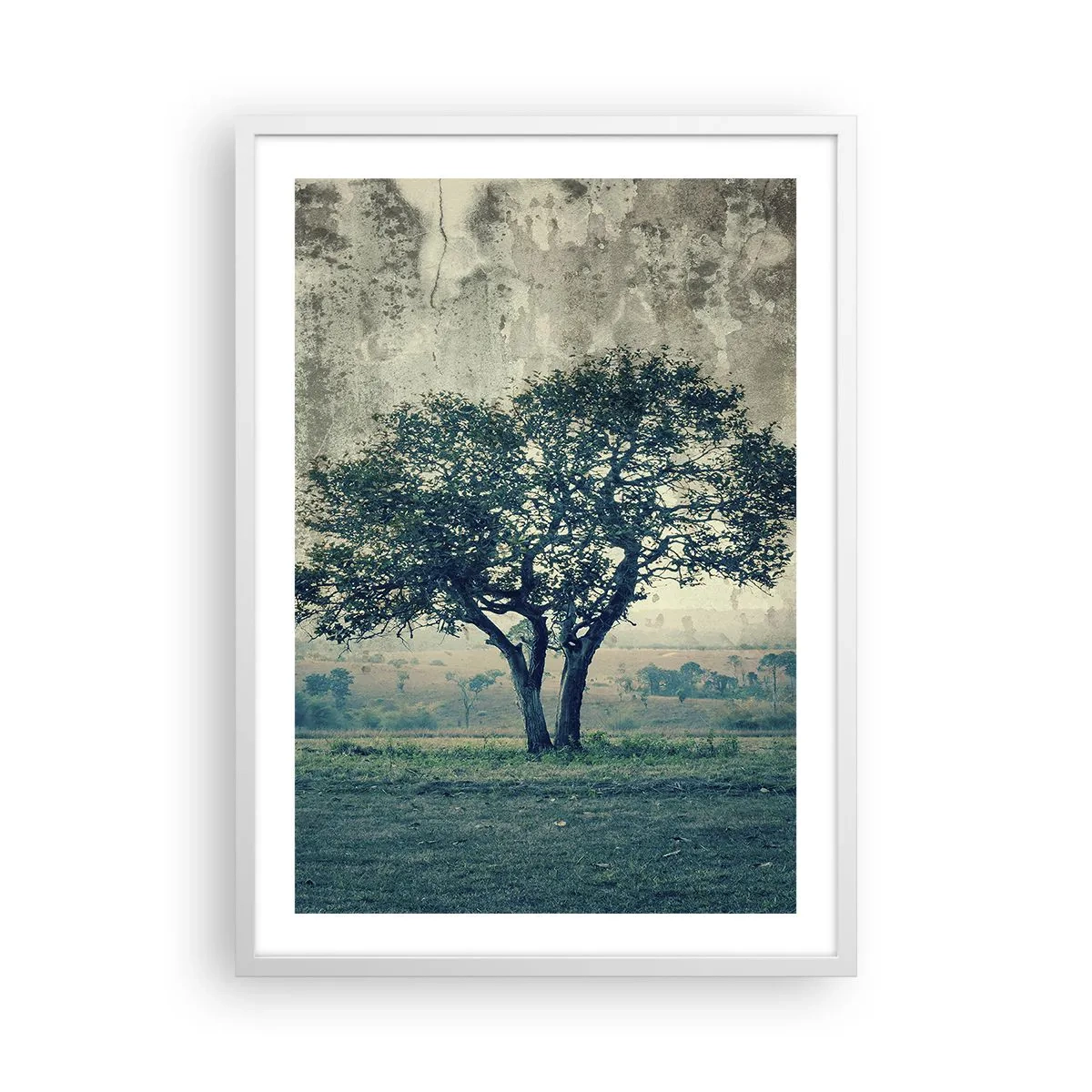 Plakat i hvid ramme - Et æbletræ på en blå membran? - 50x70 cm