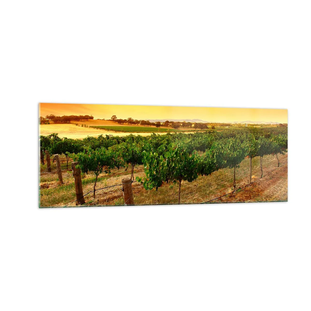 Billede på glas - Drik solen - 140x50 cm