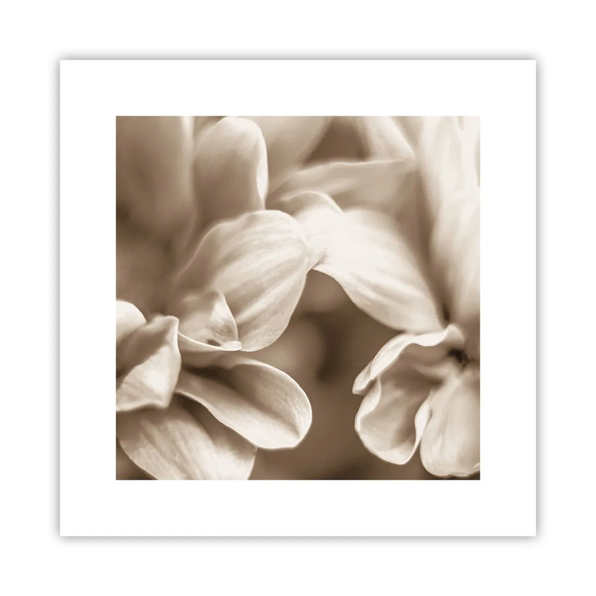 Plakat - Blid som et smil - 30x30 cm