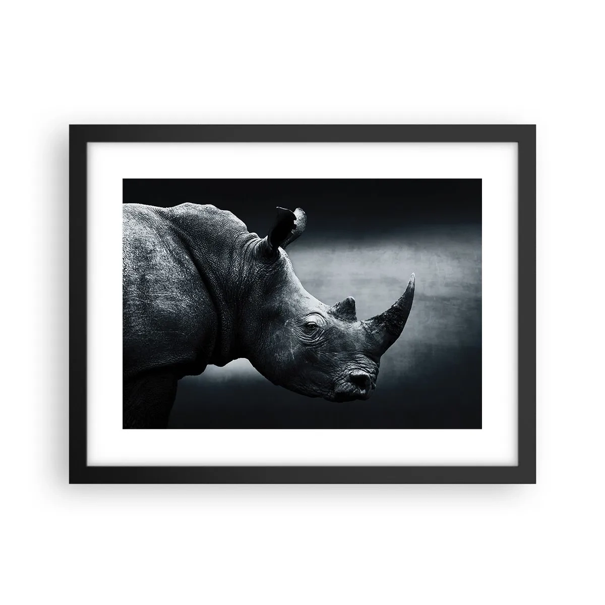 Plakat i sort ramme - Højre profil - 40x30 cm