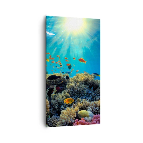 Lærredstryk - Billede på lærred - Undervandsskatte - 55x100 cm