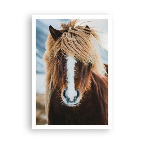 Plakat - Kan du mærke friheden? - 70x100 cm