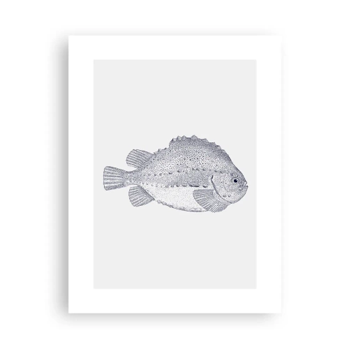 Plakat - Til naturforskerens album - 30x40 cm