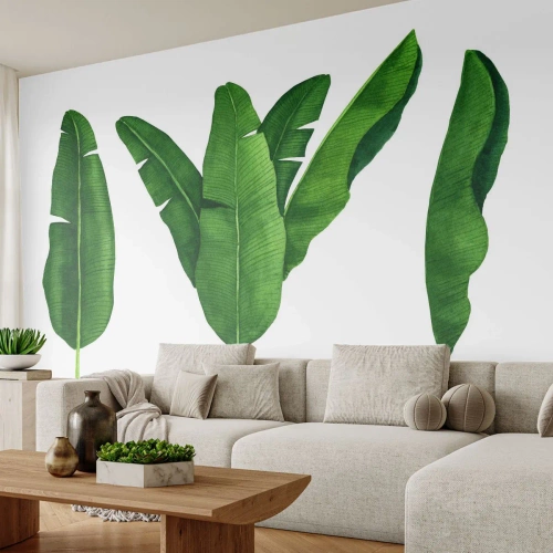 Fototapet Premium Sand - Grøn symmetri - Bananblad, Tropisk, Botanisk stil - 200x140 cm