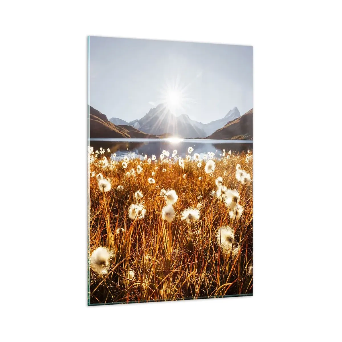 Billede på glas - Hårdhed af sten, blødhed af græs - 80x120 cm