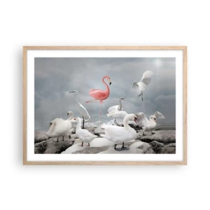 Plakat i ramme af lyst egetræ - Hvor kommer jeg fra? - 70x50 cm