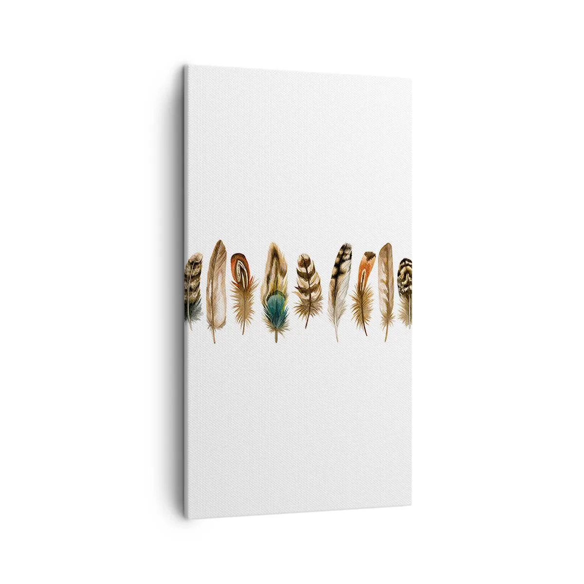 Lærredstryk - Billede på lærred - Variation med fjer - 45x80 cm