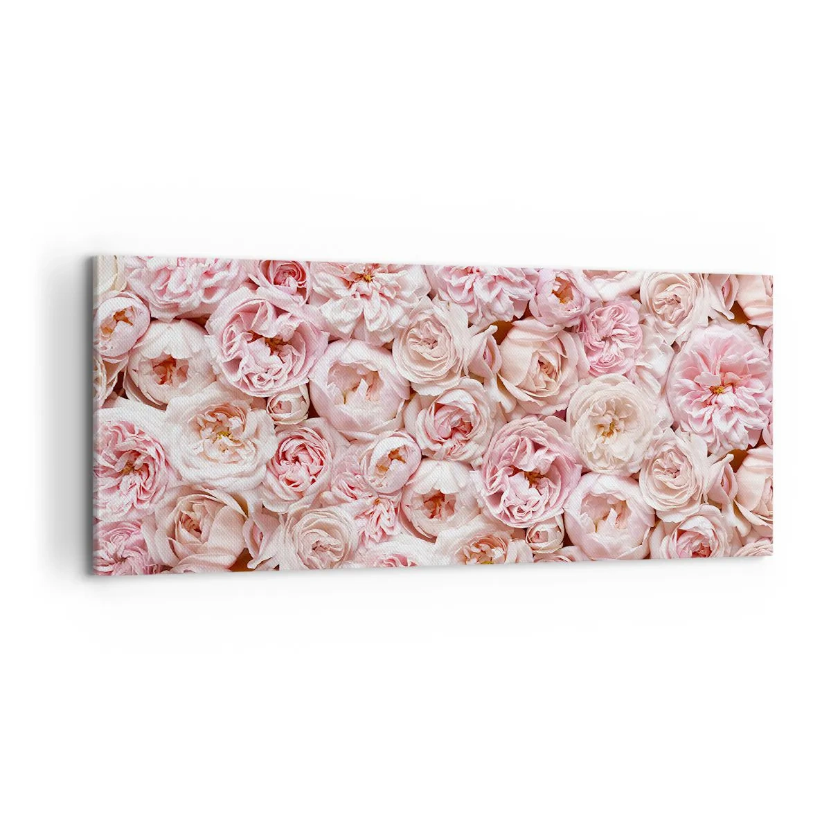 Lærredstryk - Billede på lærred - Overstrøet med roser - 100x40 cm