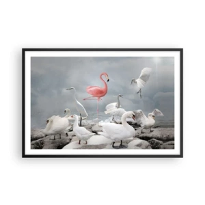 Plakat i sort ramme - Hvor kommer jeg fra? - 91x61 cm