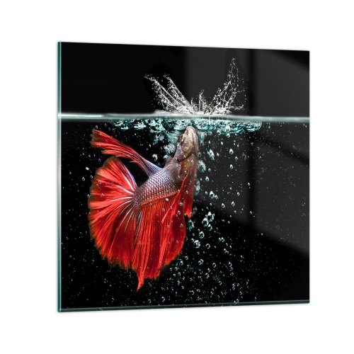 Billede på glas - Du har tre ønsker - 70x70 cm