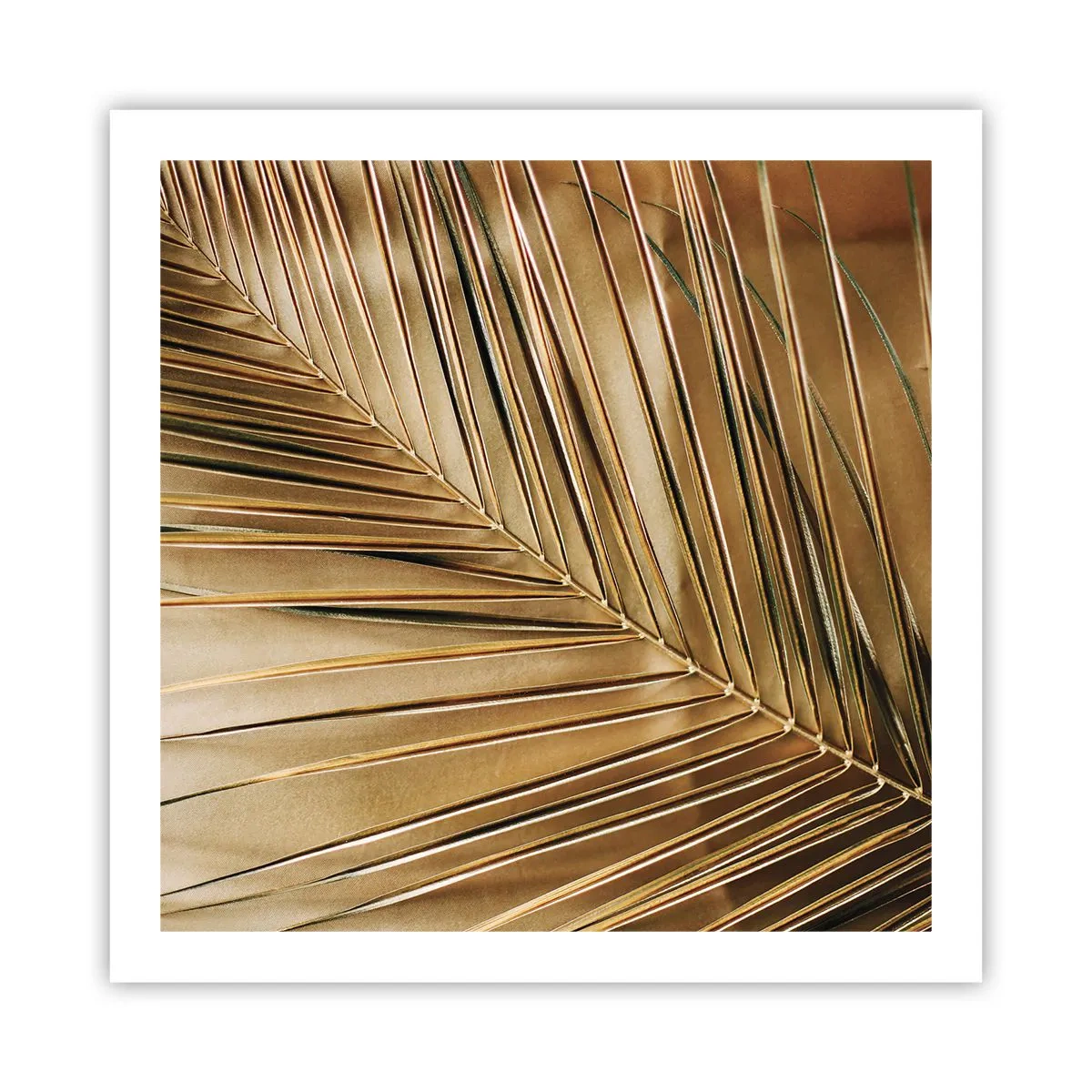 Plakat - Naturlig kolonnade - 60x60 cm