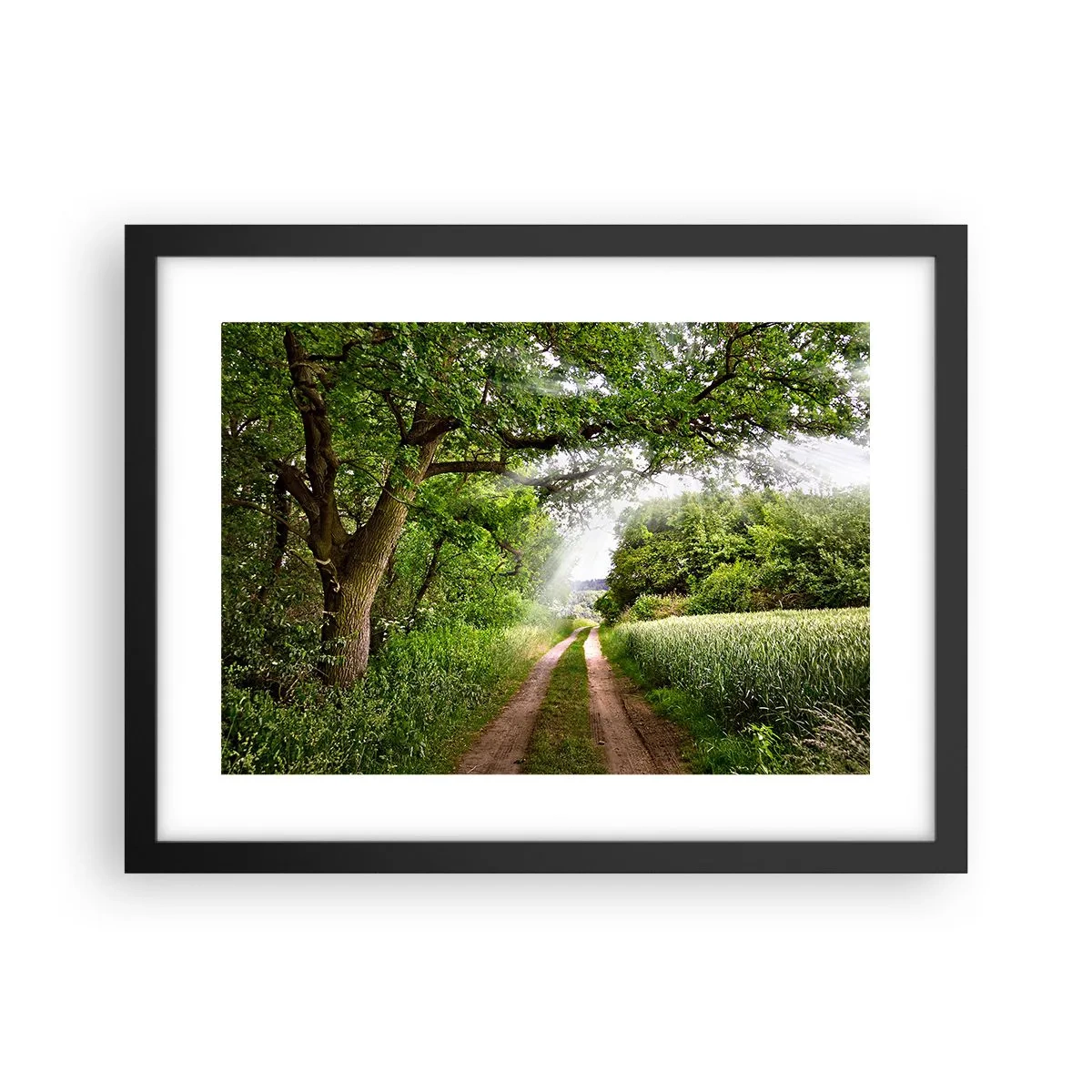 Plakat i sort ramme - Et in Arcadia ego - 40x30 cm
