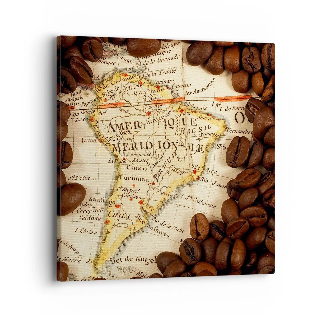 Lærredstryk - Billede på lærred - Hvor kommer den bedste kaffe fra? - 40x40 cm