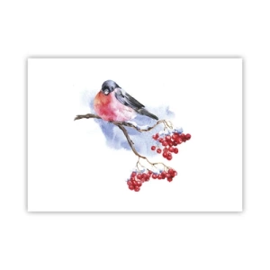 Plakat - Vinter i farver - 70x50 cm