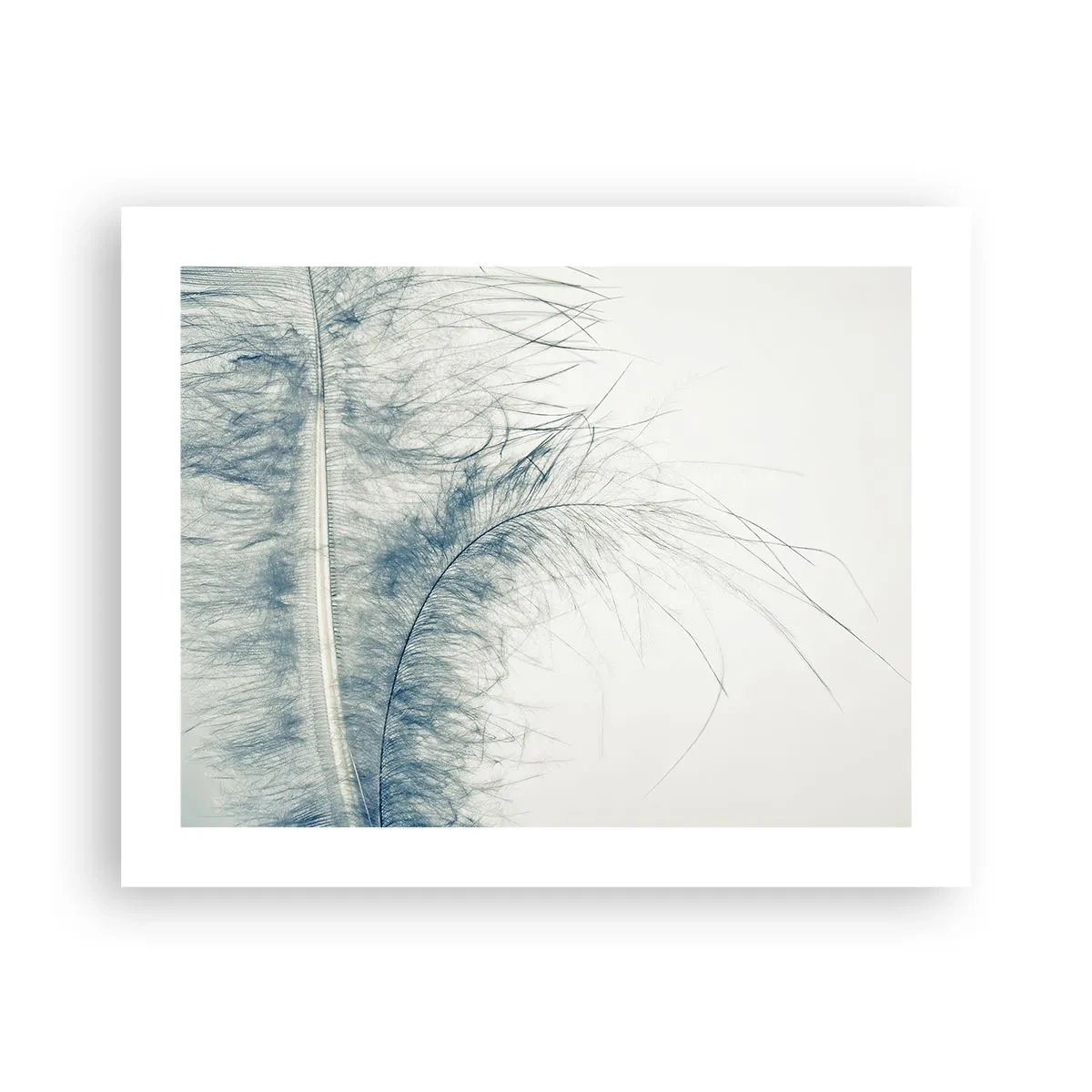 Plakat - Naturens hvisken - 50x40 cm
