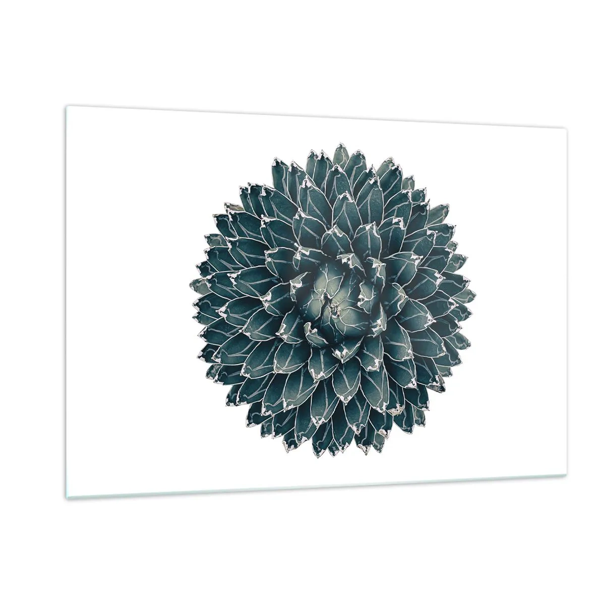 Billede på glas - Ørkenstjerne - 120x80 cm