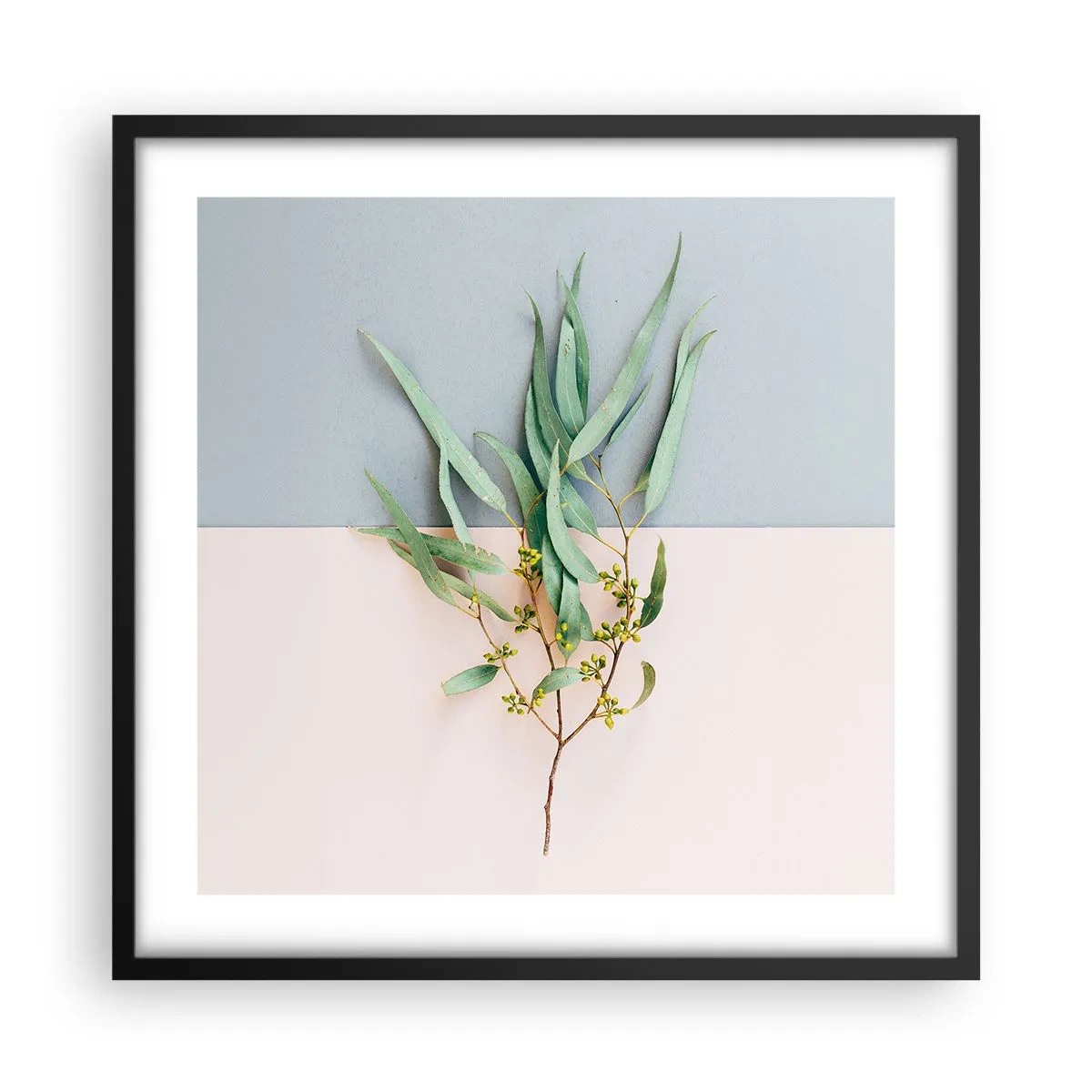 Plakat i sort ramme - Pastelfarvernes subtilitet - 50x50 cm