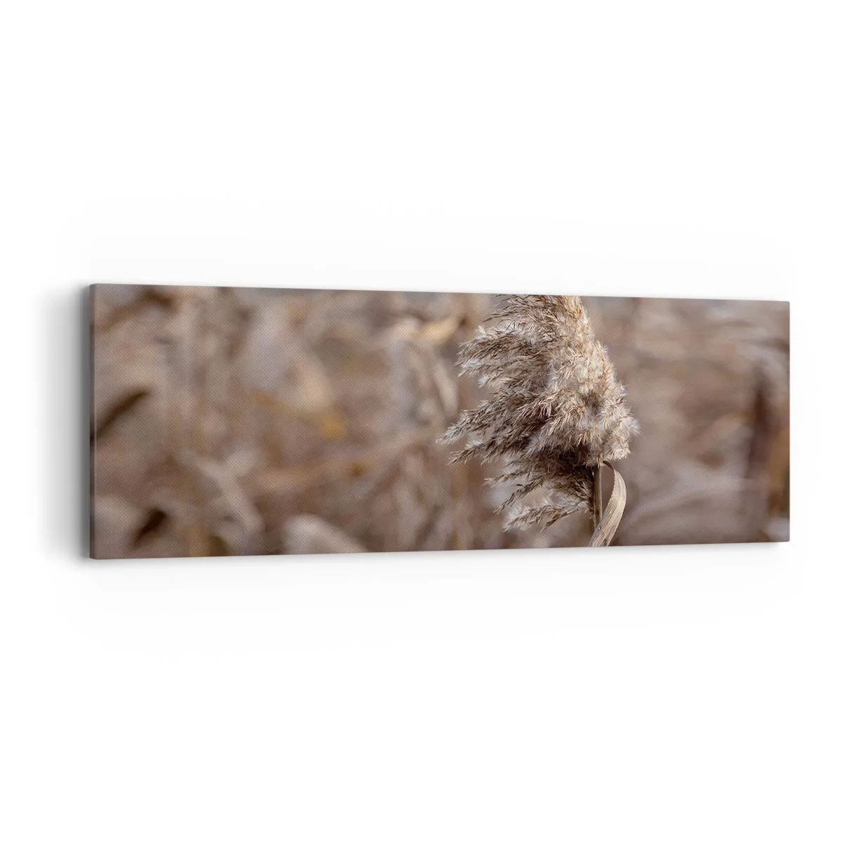 Lærredstryk - Billede på lærred - Tid til at flyve væk med vinden - 90x30 cm