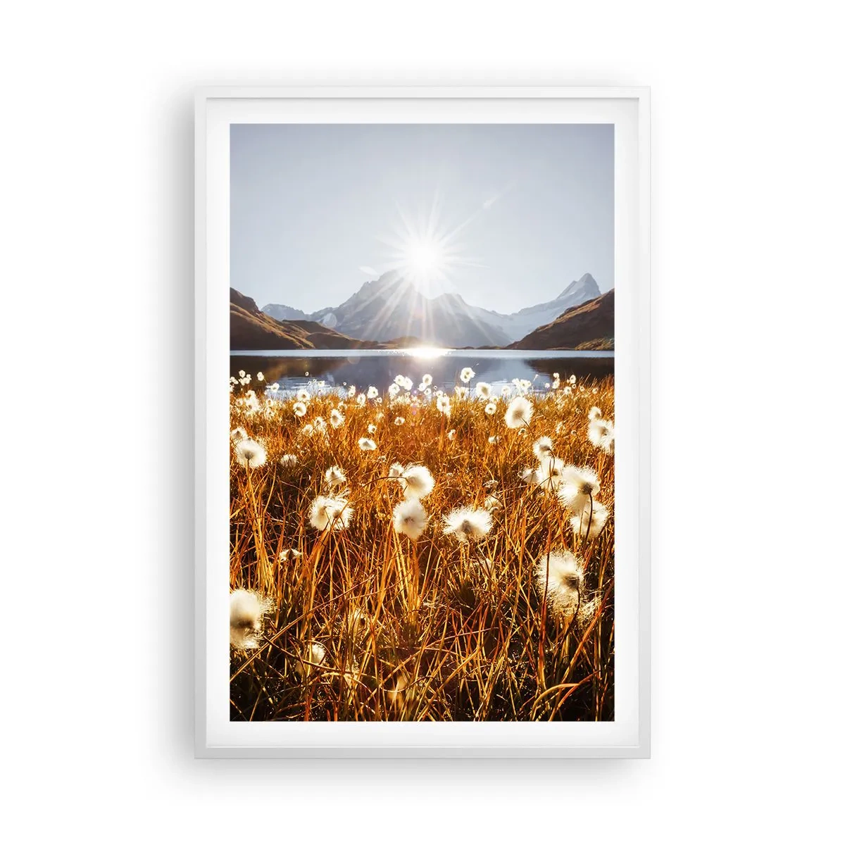 Plakat i hvid ramme - Hårdhed af sten, blødhed af græs - 61x91 cm