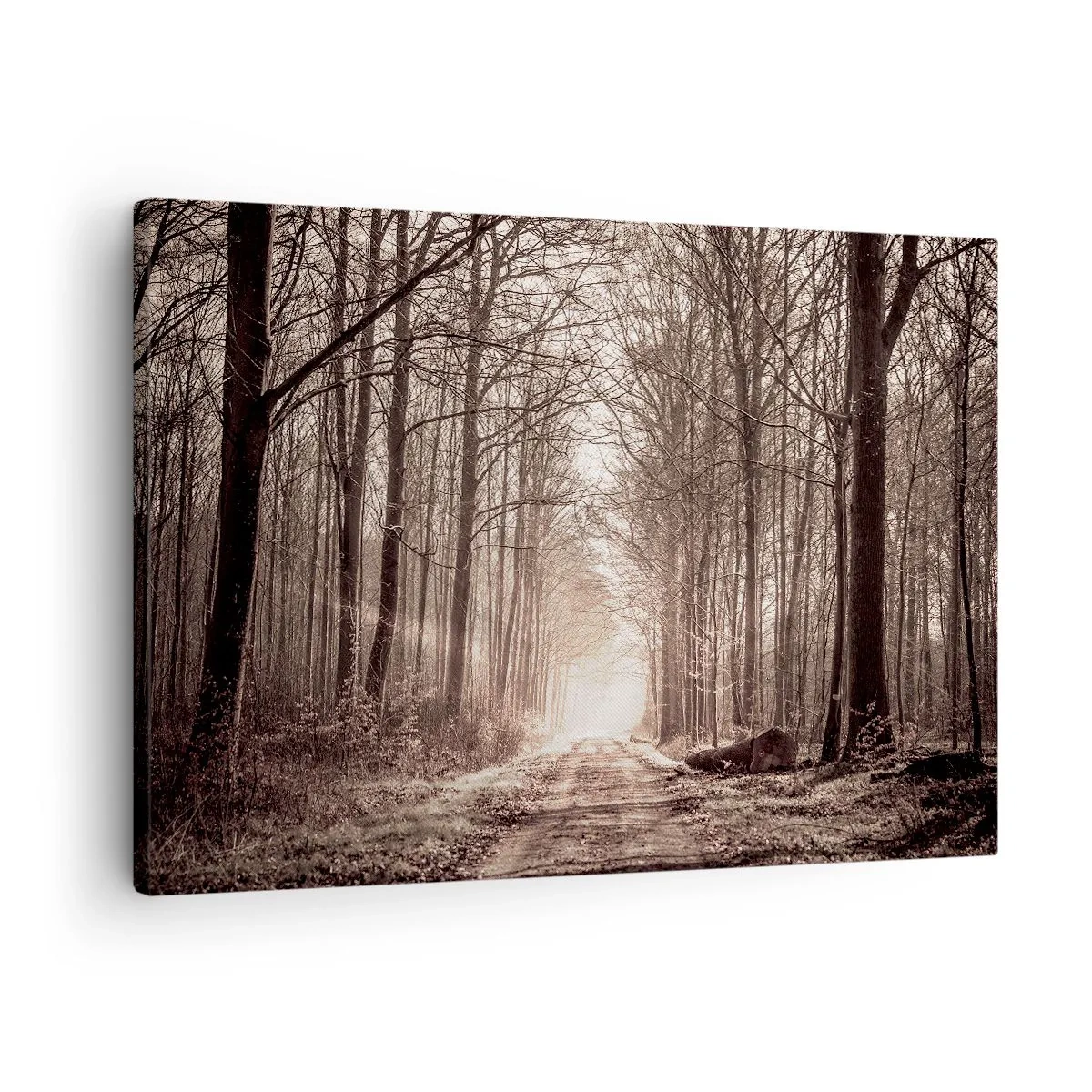 Lærredstryk - Billede på lærred - En skovsti blandt sepia-tonede træer - 70x50cm - Skovkatedralen - Moderne vægdekoration til stue og soveværelse ARTTOR
