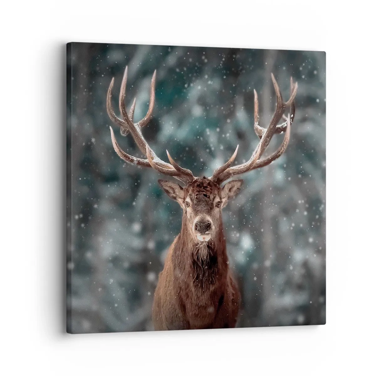 Lærredstryk - Billede på lærred - Skovens konge kronet - 30x30 cm