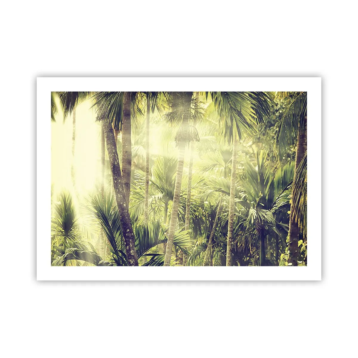 Plakat - I grønne gløder - 70x50 cm