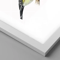 Hvid