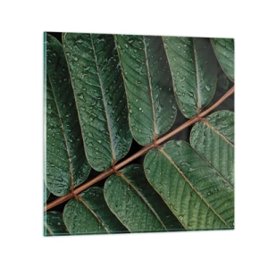 Billede på glas - I en grøn rytme - 70x70 cm