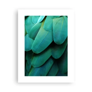 Plakat - Papegøjenaturens præcision - 30x40 cm