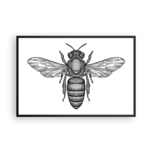 Plakat i sort ramme - Portræt af et insekt - 91x61 cm