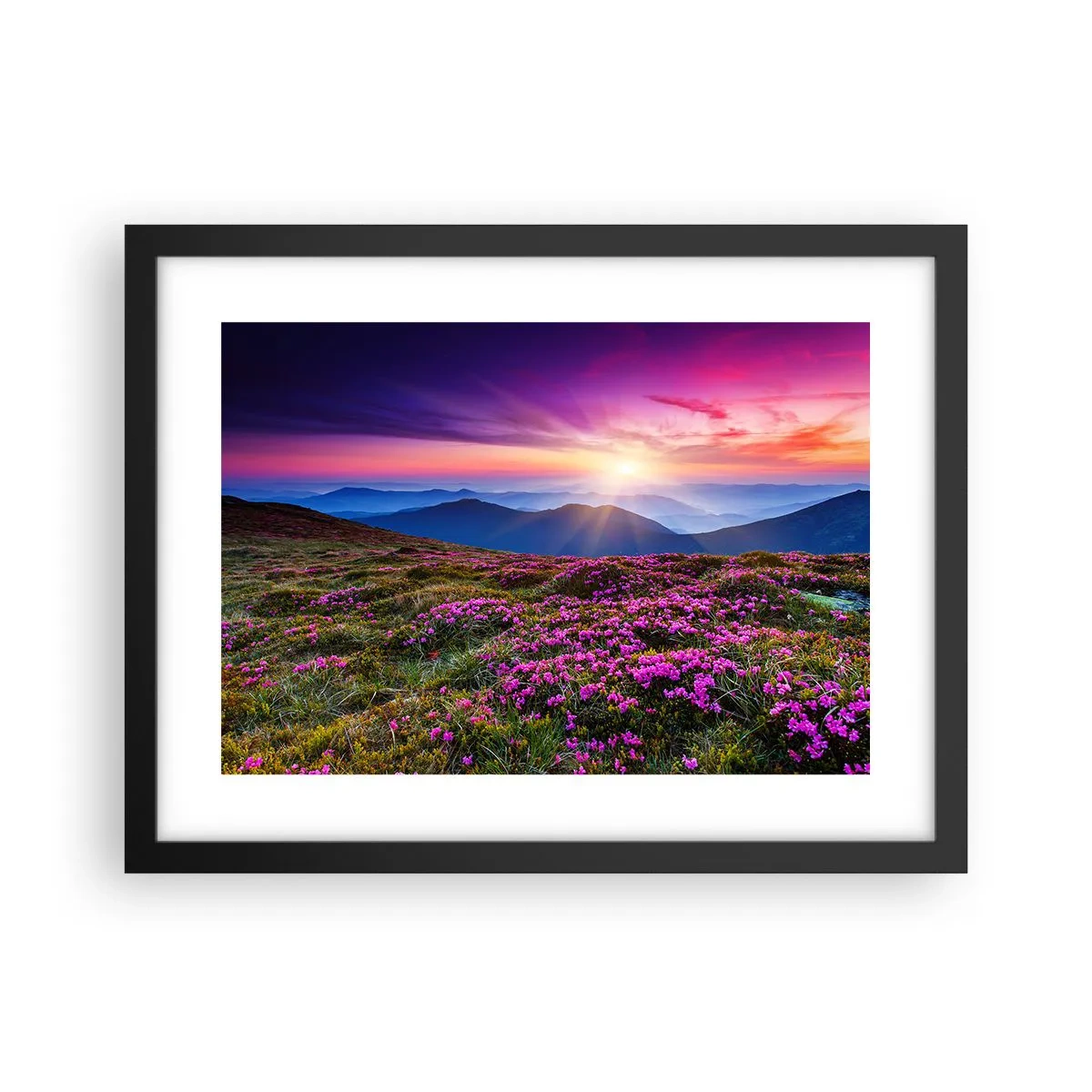 Plakat i sort ramme - Urter duftede friske bundter fra niw - 40x30 cm