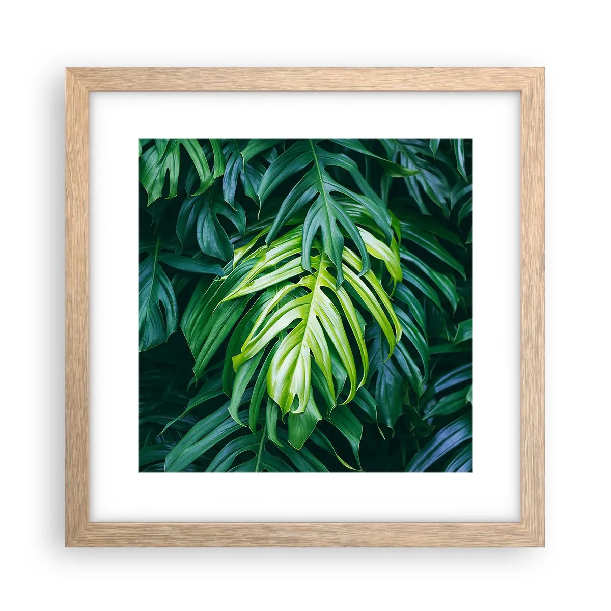 Plakat i ramme af lyst egetræ - Fordyb dig i friskhed - 30x30 cm