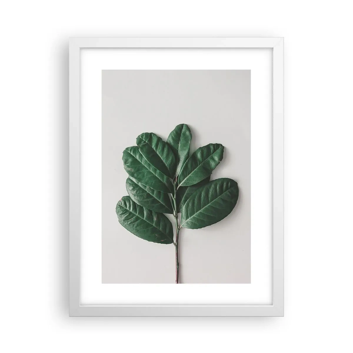 Plakat i hvid ramme - Tegning af selve naturen - 30x40 cm